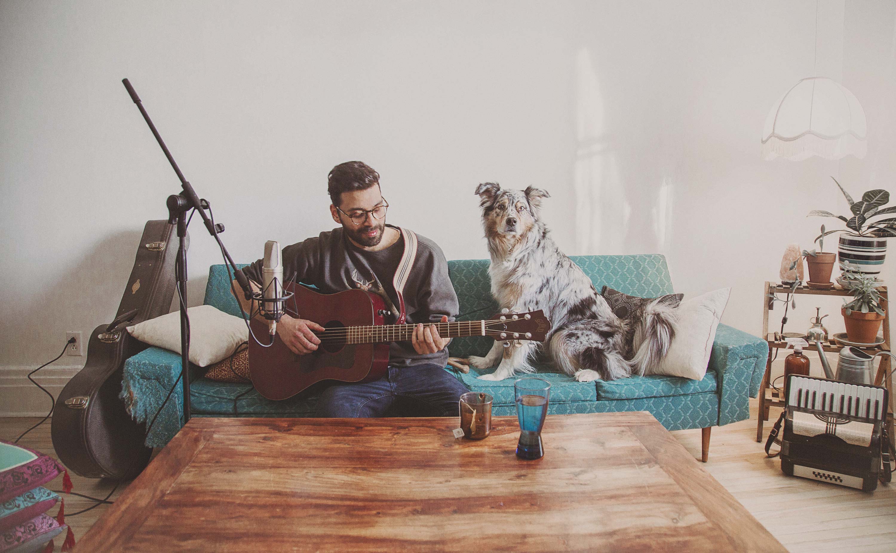 Man playing guitar on the couch with his dog